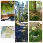 ein Bild aus dem Album