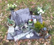 ein Bild aus dem Album