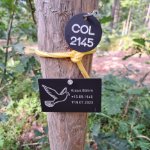 ein Bild aus dem Album