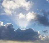 das zu drehende Bild